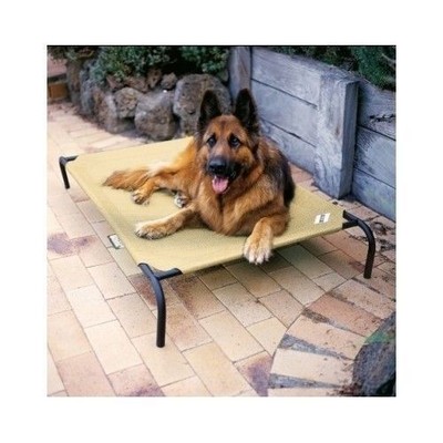 extra large cot bed